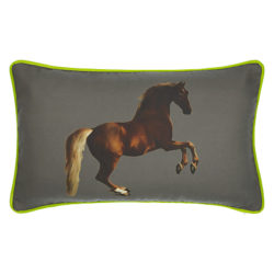 Andrew Martin National Gallery Stubbs' Whistlejacket Cushion